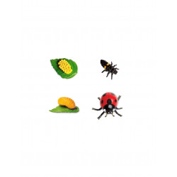 Figurines cycle de vie de...