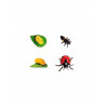 Figurines cycle de vie de la coccinelle
