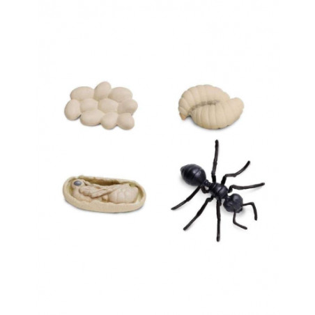 Figurines cycle de vie de la fourmi
