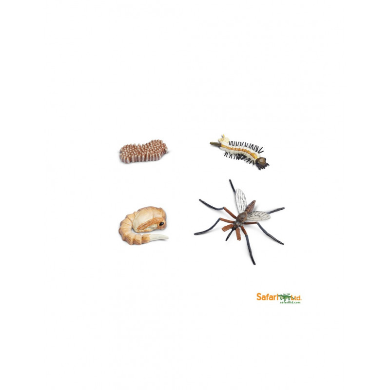 Figurines cycle de vie du moustique
