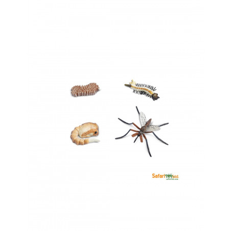 Figurines cycle de vie du moustique