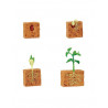 Figurines cycle de vie d'une plante