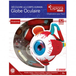 Anatomie de l’œil