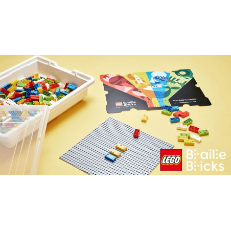 Lego Braille UEE Simone Veil