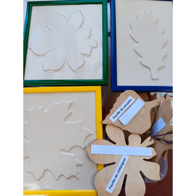 Feuilles d'arbres en reliefs