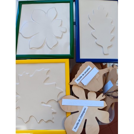 Feuilles d'arbres en reliefs